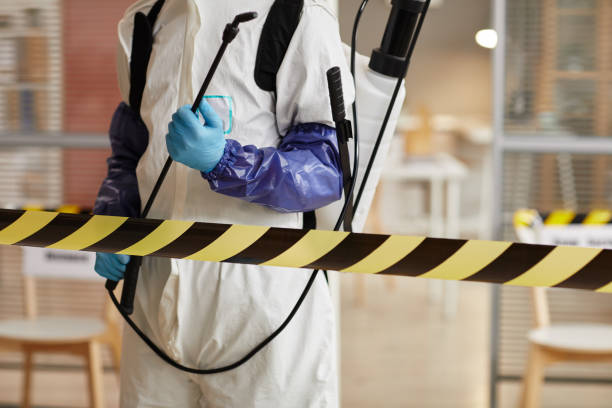 Professional Sewage Cleanup technician working in Liverpool, TX